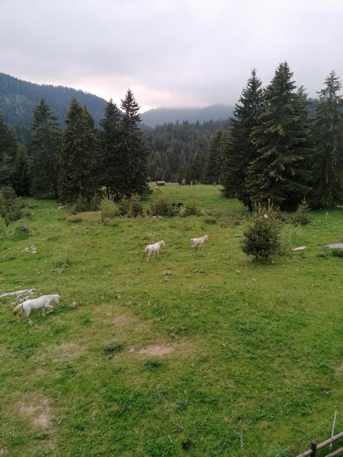 Forest Home 524 Σμόλιαν Εξωτερικό φωτογραφία
